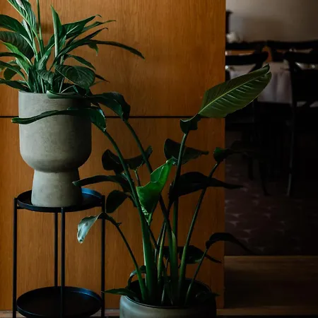 Wodnik 3* غيجيتسكو