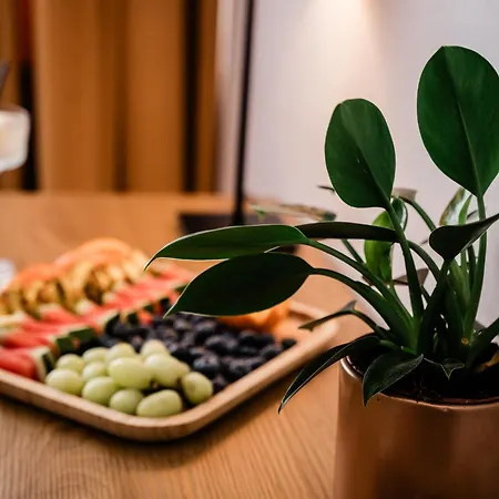 Wodnik غيجيتسكو